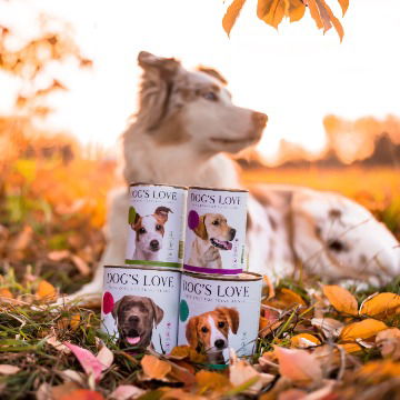 Getreidefreies Hundefutter