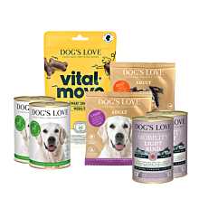 Golden Retriever-Set