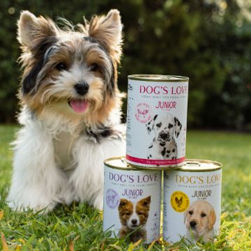 Brauner Hund mit einer Dose Nassfutter zwischen den Pfoten