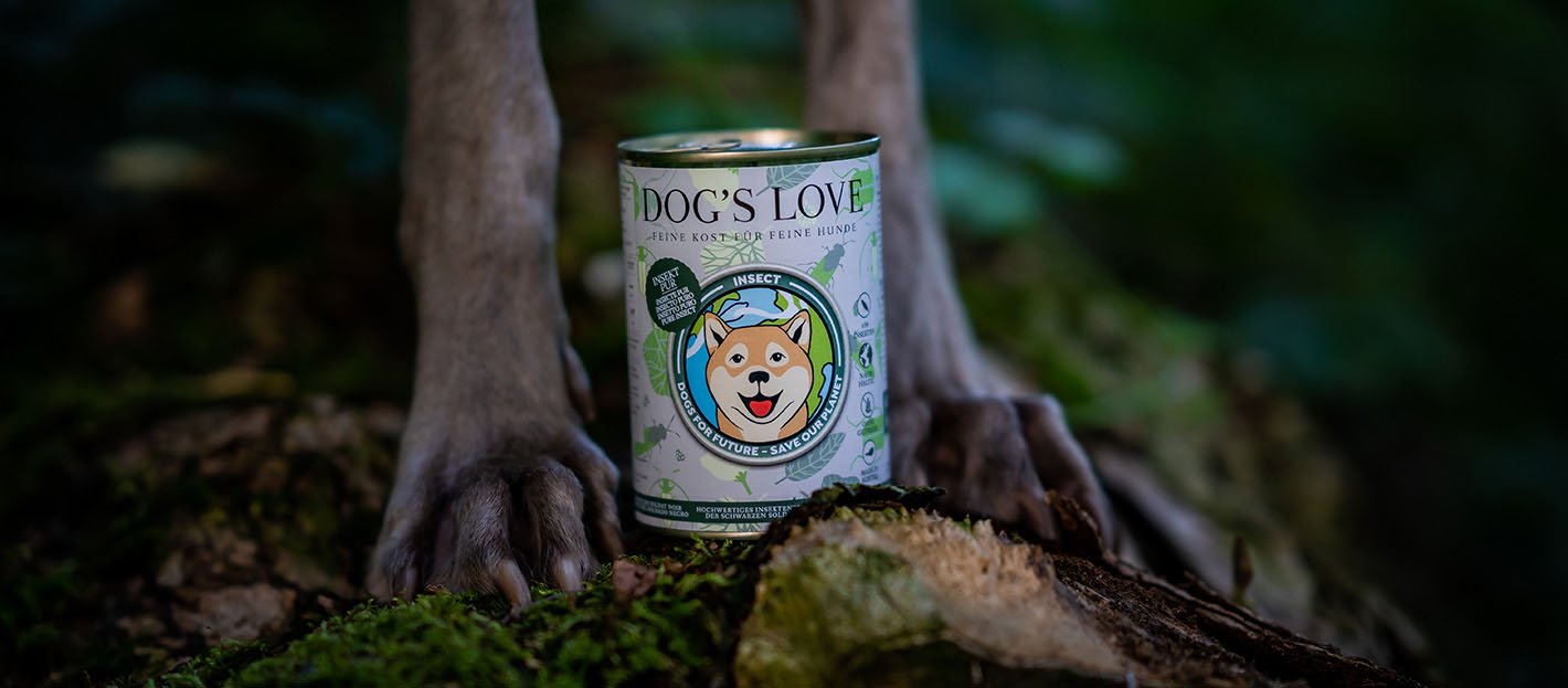 Hundepfoten die auf einem Moos bedeckten Boden im Wald stehen und zwischen ihnen befindet sich eine Dose DOG'S LOVE Insect Pur