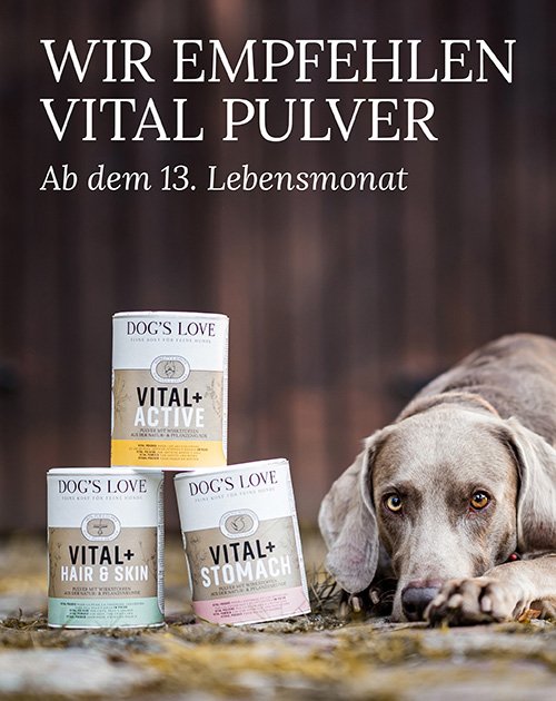 Banner auf welchem zwei Hunde mit unseren Vitalpulvern abgebildet sind mit dem Infotext: Wir empfehlen Vital Pulver ab dem 13 Lebensjahr