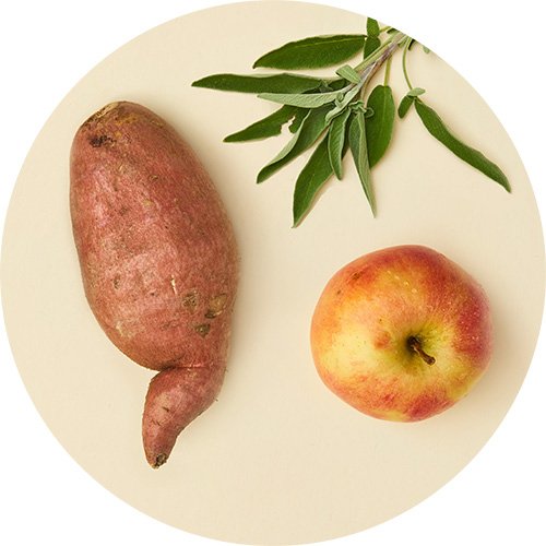 Eine Süßkartoffel, ein Apfel und Salbei auf beigen Hintergrund