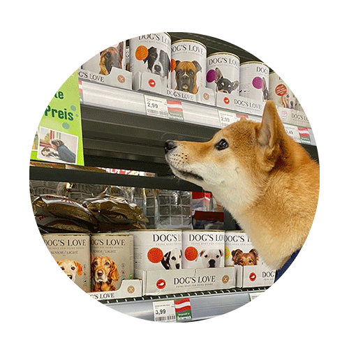 Ein Hund steht vor einem Regal in einem Supermarkt und sieht DOG'S LOVE Produkte vor sich