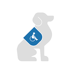 Icon für einen Servicehund