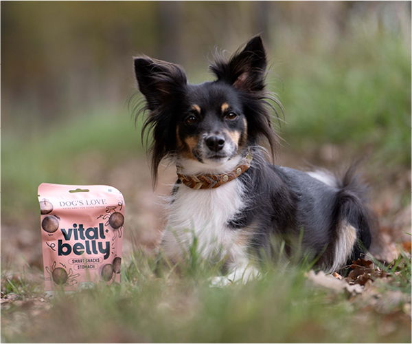 Hund mit einer Packung Hunde Leckerlis von Dogs Love