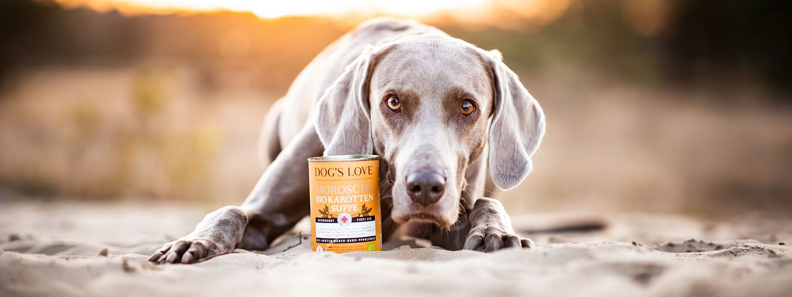Hund mit eine Dose Morosche Karottensuppe für Hunde