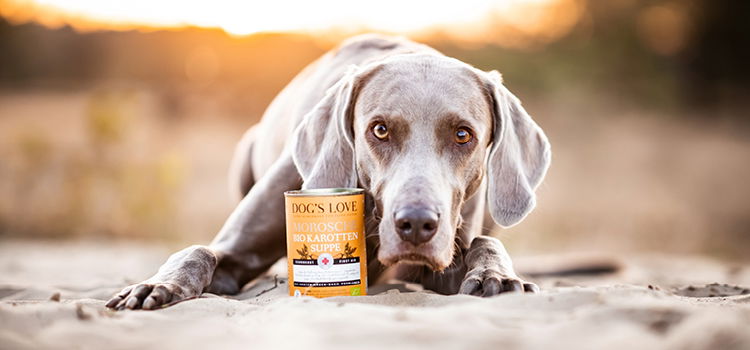 Hund mit eine Dose Morosche Karottensuppe für Hunde