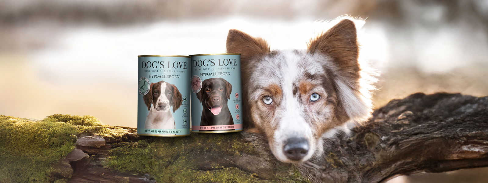 Hund mit 2 Hundefutter Dosen Pferd und Ente