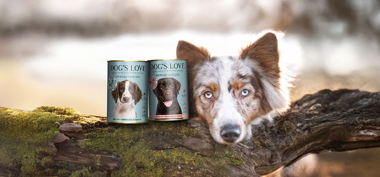 Hypoallergens Hundefutter auf einem Baumstamm