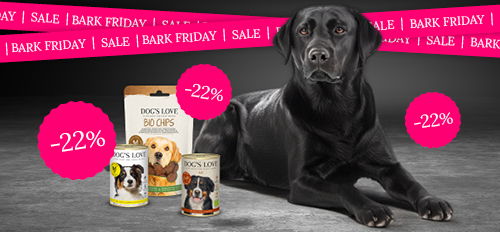 Hund der eine Packung DOG'S LOVE Snacks und einen Brief im Maul hat