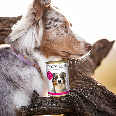 Hund mit einer Dose Pferdefleisch Hundefutter