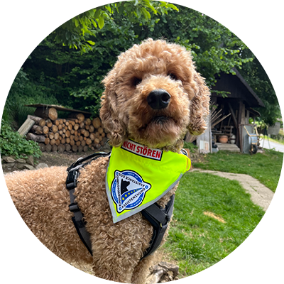 Assistenzhund Emil im Garten