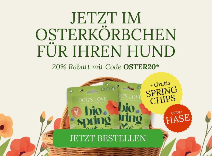 Ein Hund hustet