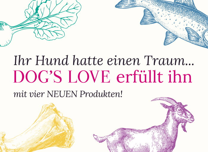 Ein Hund hustet