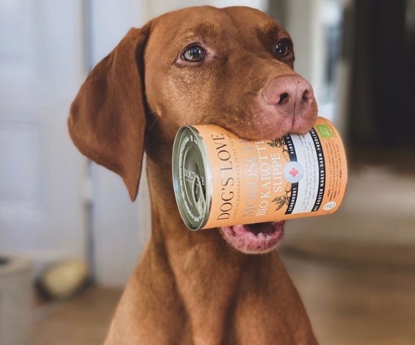 Hund mit einer Dose Morosche Bio Karotten Suppe gegen Durchfall