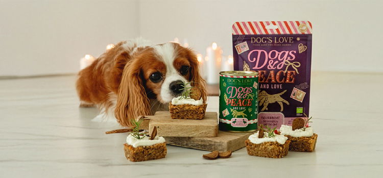 Hundefutter Weihnachtskekse