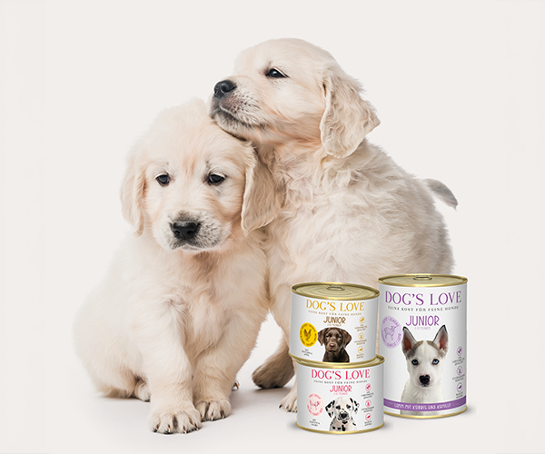 Ein Welpe l&auml;uft