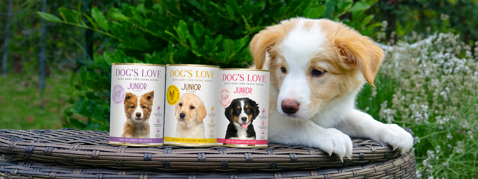 Ein Hund mit Dogslove Nassfutter Dosen