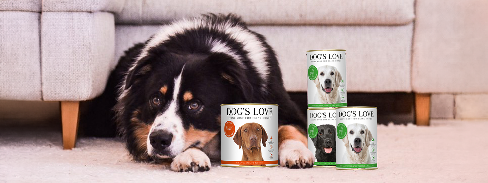 Ein Hund mit Dogslove Nassfutter Dosen