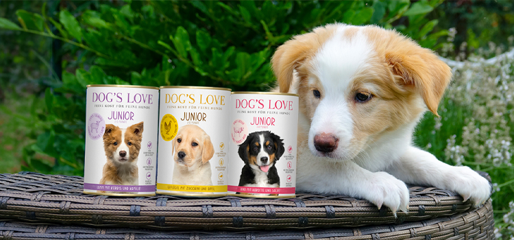 Ein Hund mit Dogslove Nassfutter Dosen