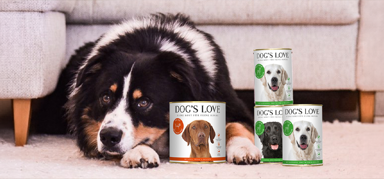 Ein Hund mit Dogslove Nassfutter Dosen