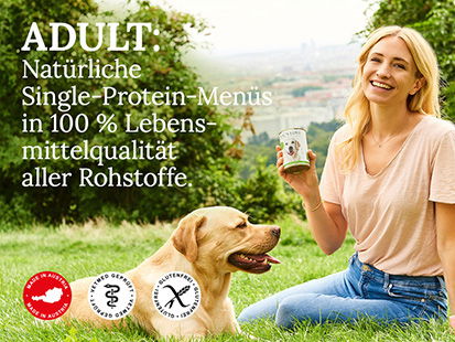 Hunde Nassfutter Hundefutter Classic