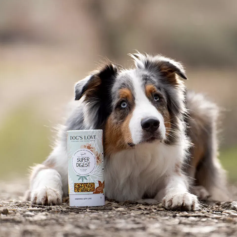 DOG S LOVE Premium Dog Herbs Super Digest Buy Now