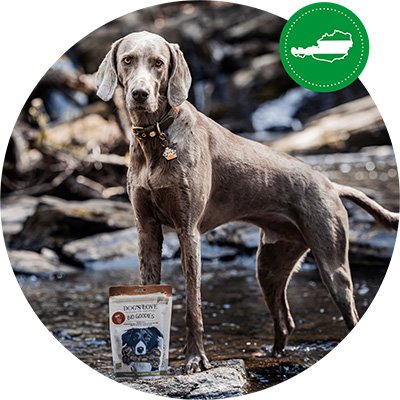 Dog standing in a river and in front of him is a package of our dog snacks.