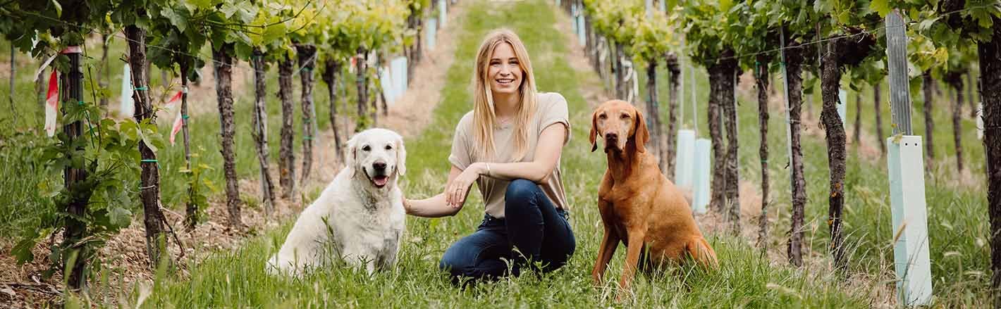 Katharina Miklauz among the vines with the family dogs Nala and Pluto