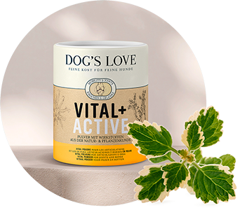 VItal Active powder which stands on a stone