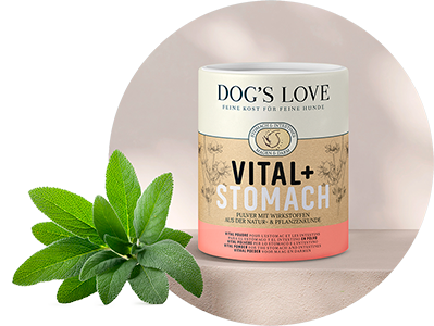 Vital Stomach powder, which stands on a stone. 