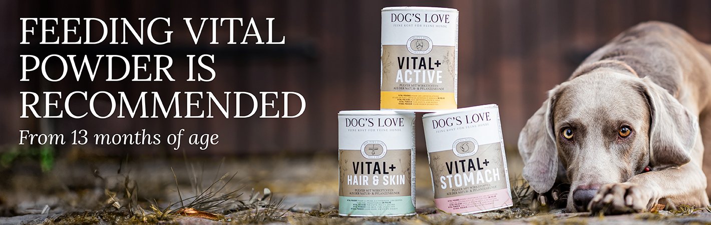 Banner on which two dogs with our vital powders are shown with the info text: We recommend vital powders from the age of 13.