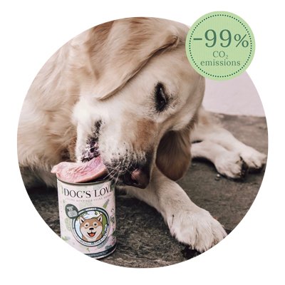 Dog licking the lid of a can of Insect Pur