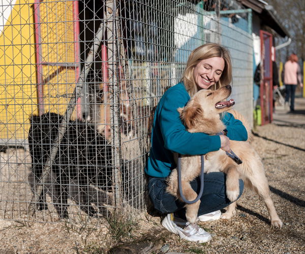 Dog cuddles with a woman in a animal welfare