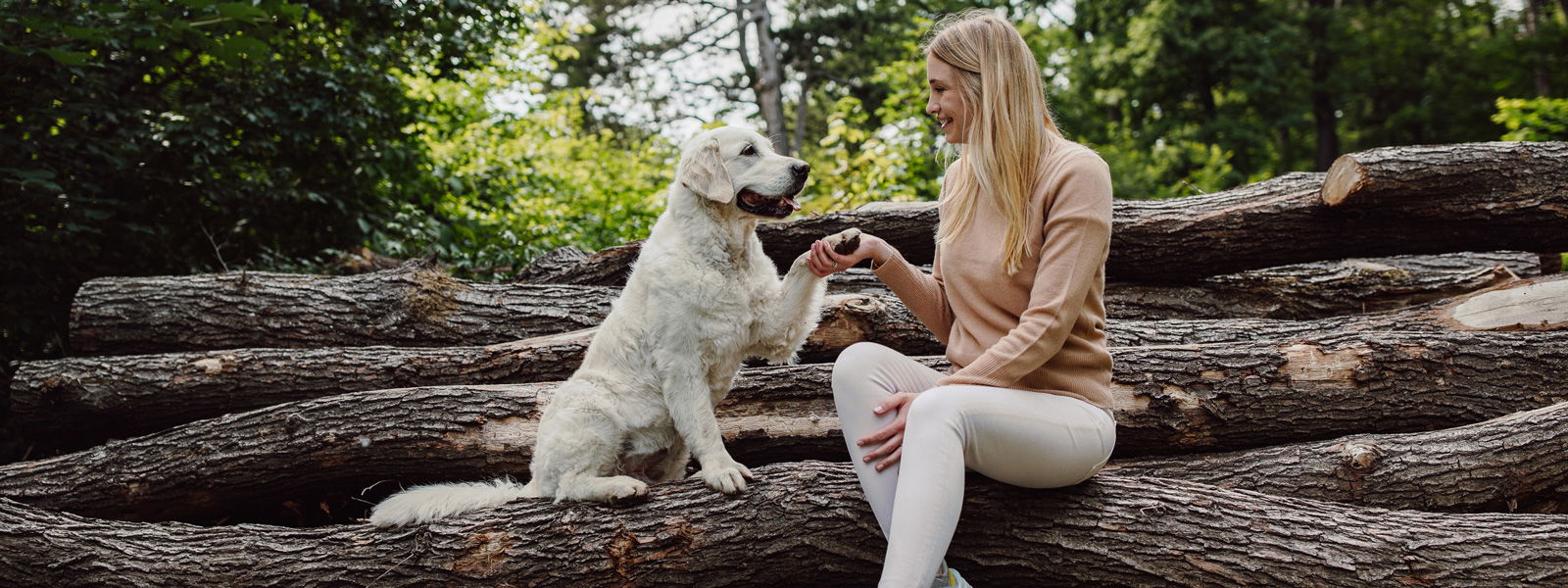 A women holds hand with a dog