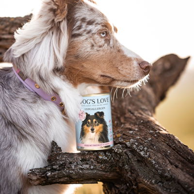 A dog with DOG'S LOVE food