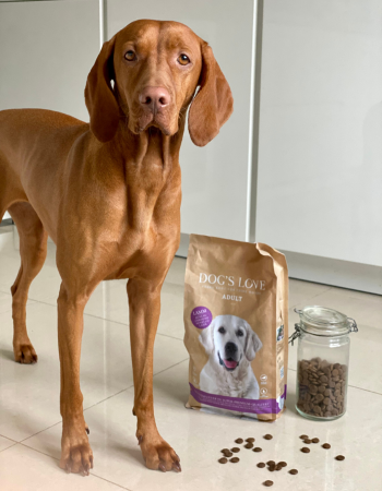 Dog in the kitchen with a bag dry food from DOG'S LOVE