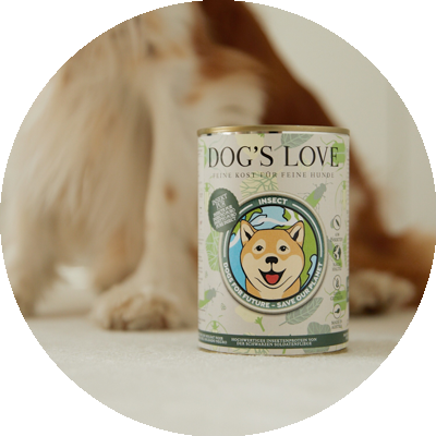 A dog put his head next to a can of Insect chicken