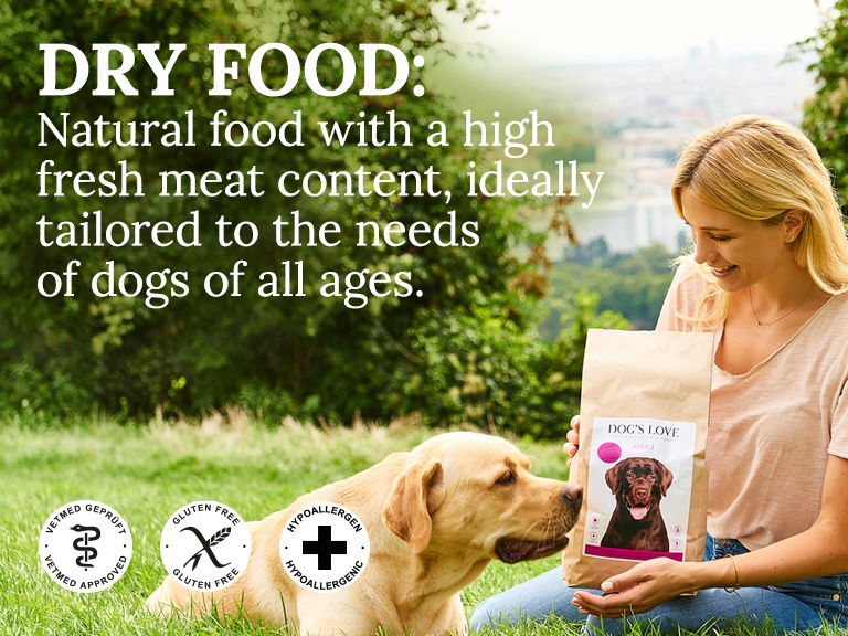 Labrador dog food menu outlet