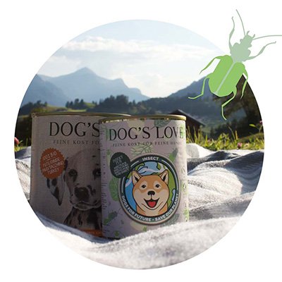 Dos latas de comida para perros DOG'S LOVE sobre una manta tendida en un prado en las montañas.