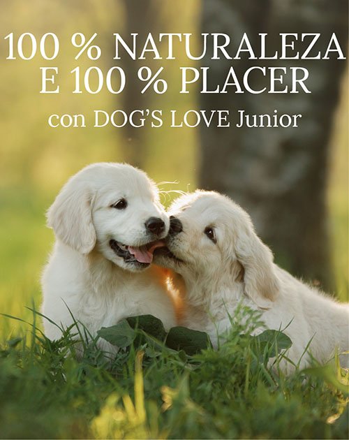 Cachorros en un prado con el texto: 100% Naturaleza & 100% Indulgencia con DOG'S LOVE Junior