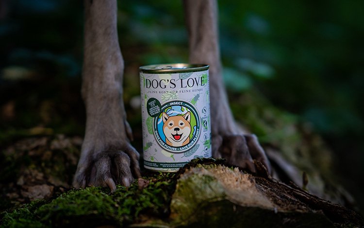 Esta imagen muestra dos patas de un perro con una lata de comida Insecten de DOG'S LOVE entre ellas.