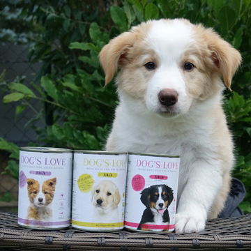 Nourriture pour chiots