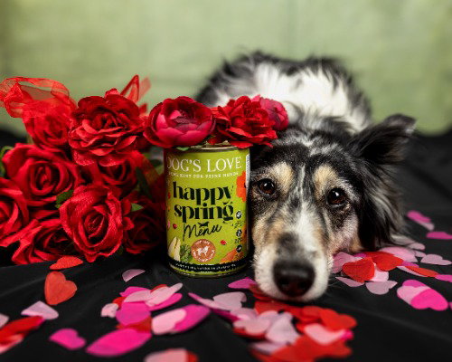 DOG'S LOVE Menu Spring time avec Mariellen