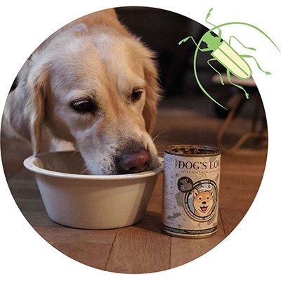 Un chien qui se délecte d'une gamelle de nourriture et à côté duquel se trouve une boîte de DOG'S LOVE Insect Pur.