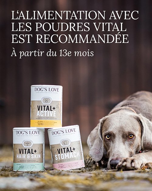 Bannière sur laquelle sont représentés deux chiens avec nos poudres vitales avec le texte d'information : Nous recommandons les poudres Vital à partir de 13 ans.