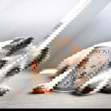 Cibo organico per cani Cibo organico per cani