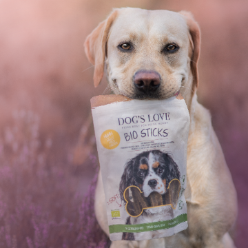 Futter für Labrador Retriever Futter für Labrador Retriever