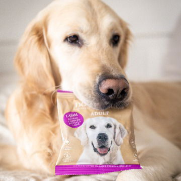 Futter für Golden Retriever Futter für Golden Retriever