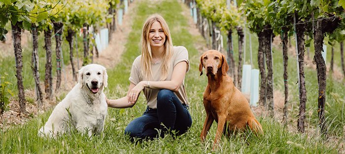 Katharina Miklauz tra le vigne con i cani di famiglia Nala e Pluto